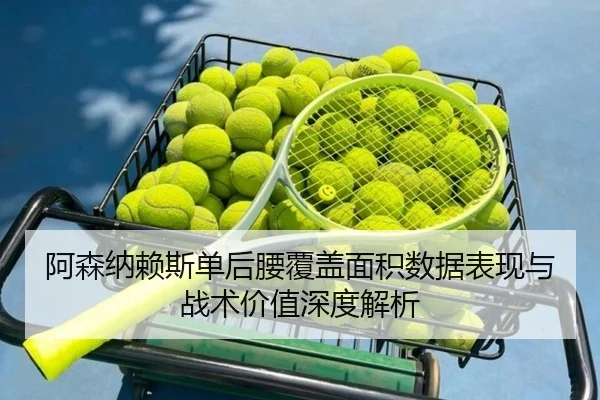 阿森纳赖斯单后腰覆盖面积数据表现与战术价值深度解析