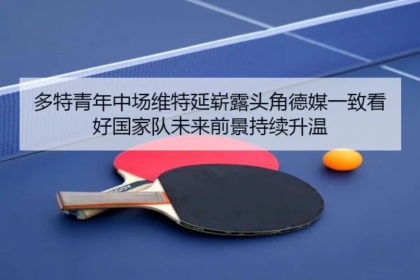 多特青年中场维特延崭露头角德媒一致看好国家队未来前景持续升温
